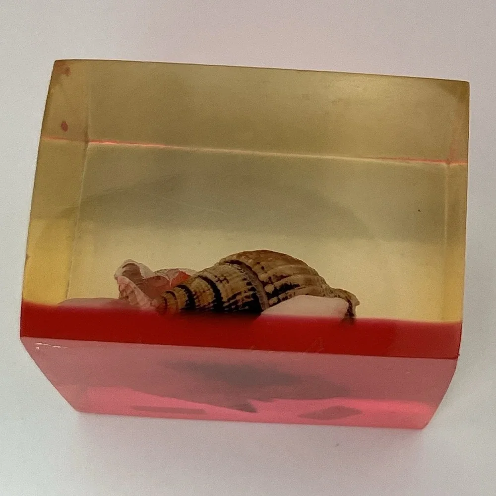 Vtg Lucite Resin Sea Shell Paperweight MCM‎ Beach Coastal Desk Decor Whimsical